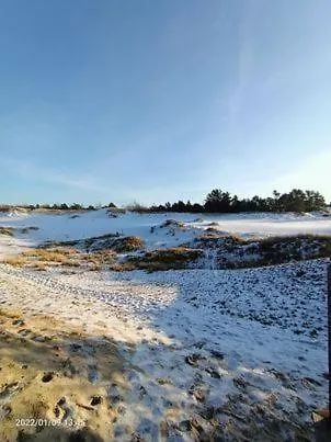 Dom - Zakatek